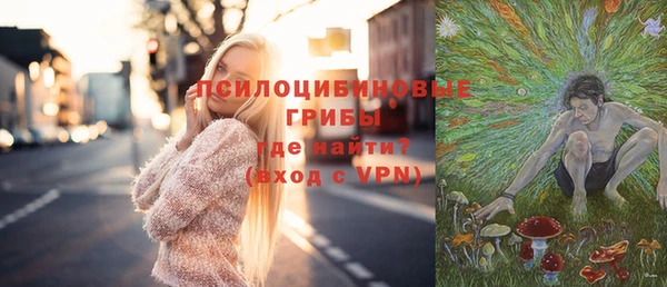 дмт Лагань