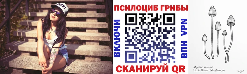 Галлюциногенные грибы мицелий  Тотьма 